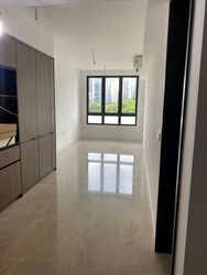 Irwell Hill Residences (D9), Apartment #549536791